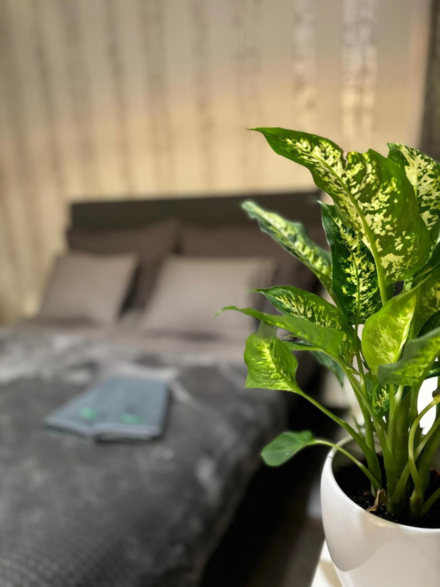 Vartiomaja - Beautiful Apartment Near Arktikum Rovaniemi Ngoại thất bức ảnh